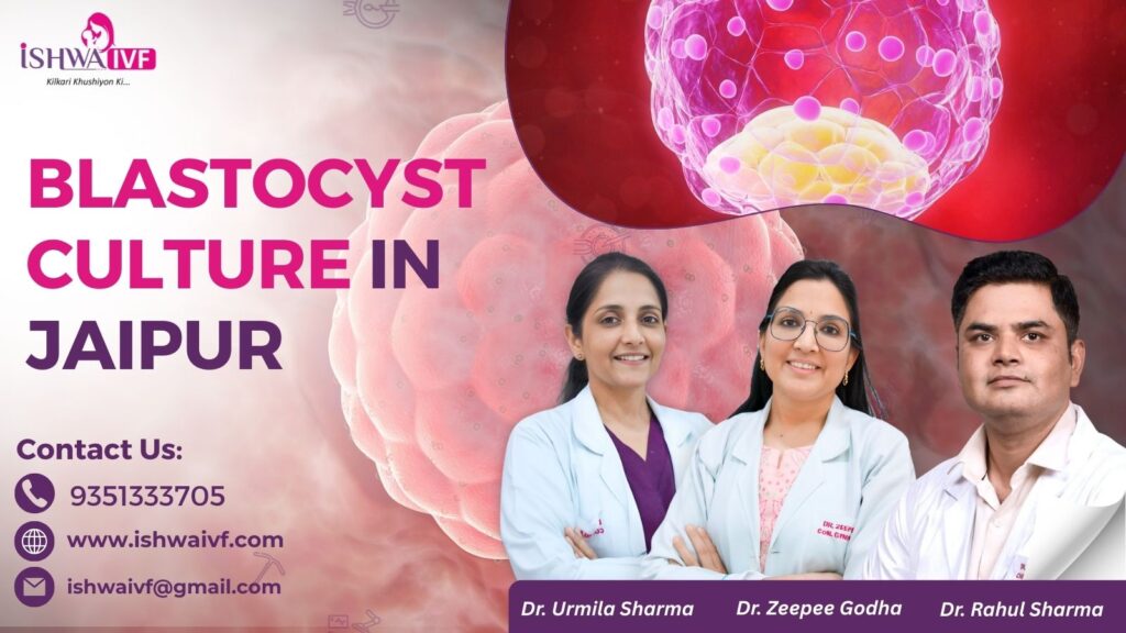 Blastocyst culture in Jaipur